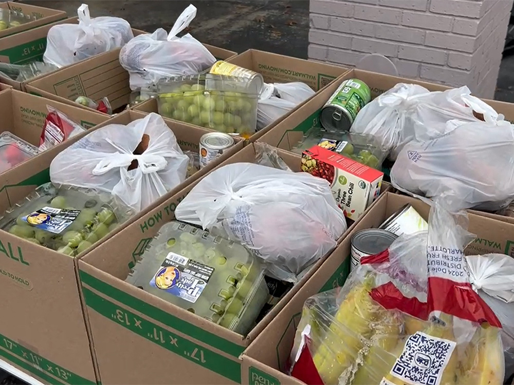 Nutrition Assistance Pic 1 (1)